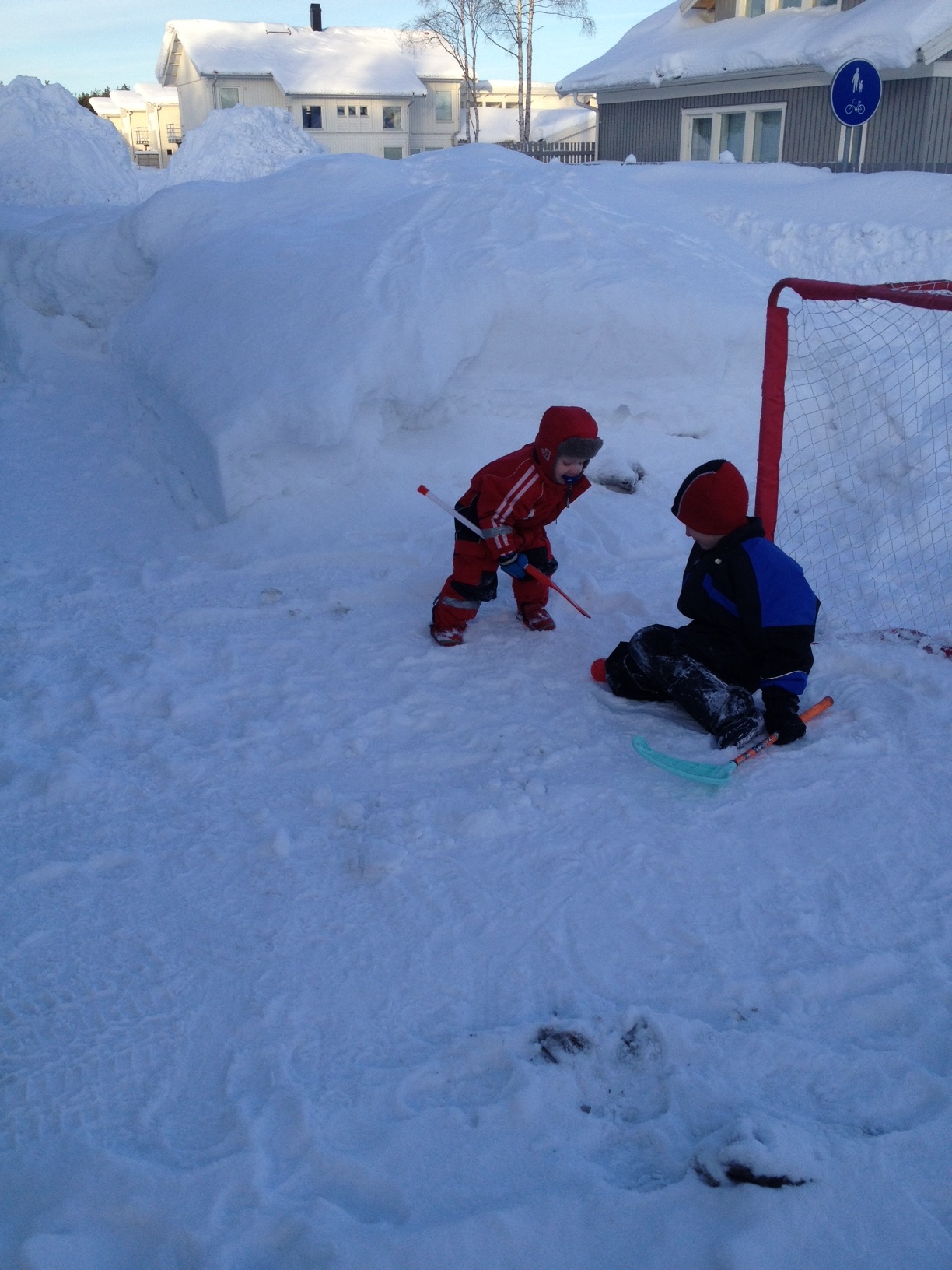 hockeyspelande